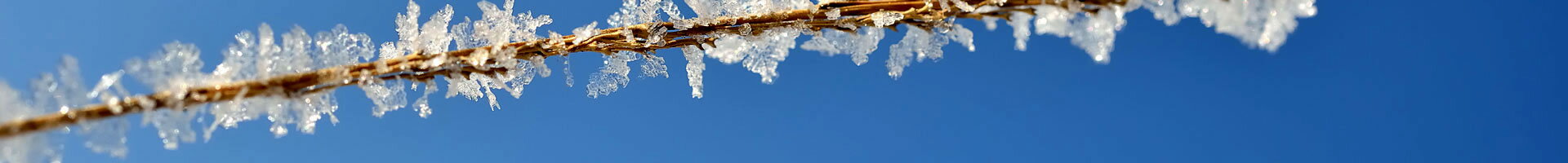 . .. dobrý nový rok Pf 2026