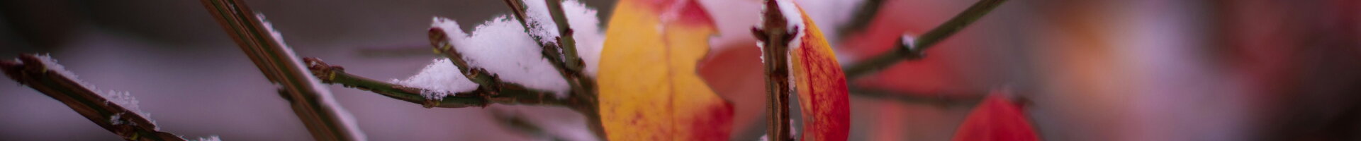 . .. i v zimě buduj bez omezení